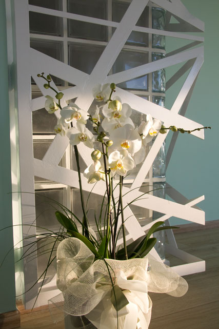 Detail Architects