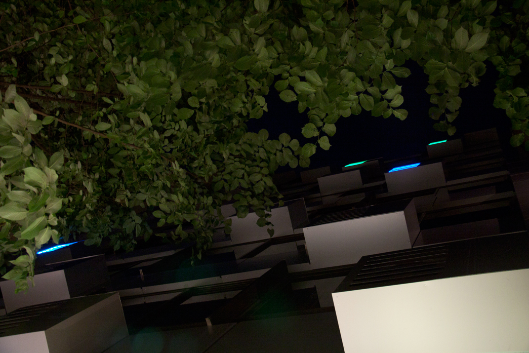 Detail Architects