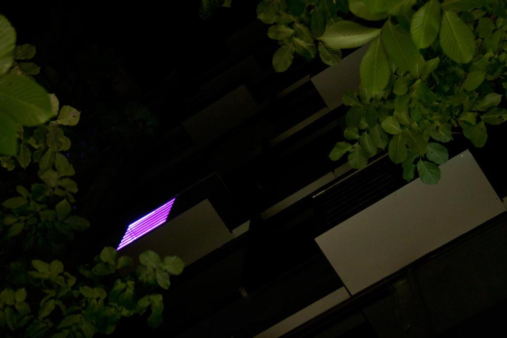 Detail Architects